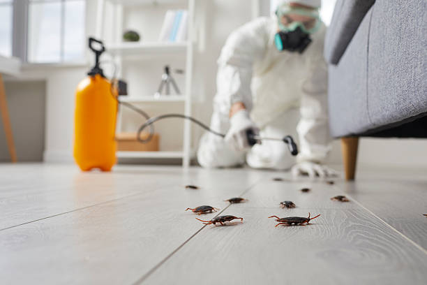 Commercial Kitchen Cockroach Control in Newtown